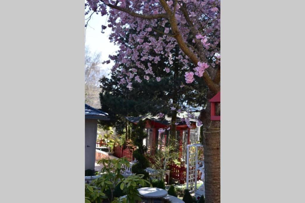 Holiday home Au Printemps Japonais Pierre-Chatel
